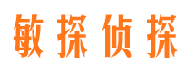 龙江市侦探调查公司